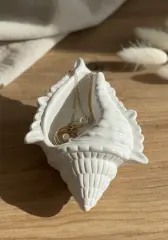 Dekoratif Beyaz Deniz Kabuğu Takı Tabağı