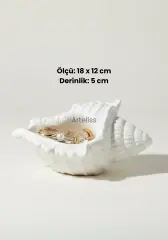 Dekoratif Beyaz Deniz Kabuğu Takı Tabağı