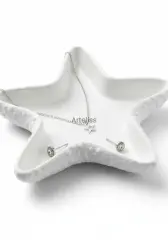 Dekoratif Modern Deniz Yıldızı Obje Organizer